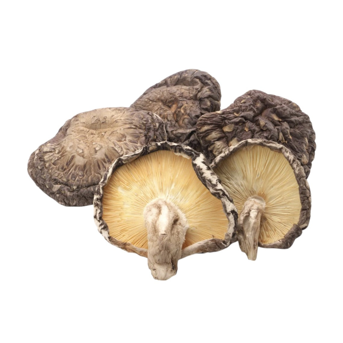 Okinawa Extra Large Dried Shiitake Mushrooms