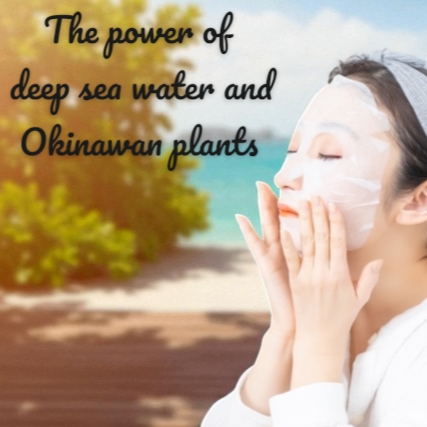 Ryu Spa Botanicals Face Mask – 5 Flavour Set