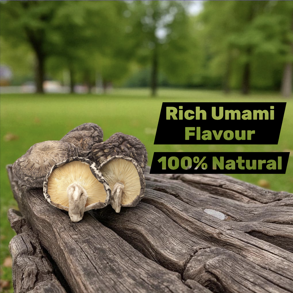 Okinawa Extra Large Dried Shiitake Mushrooms