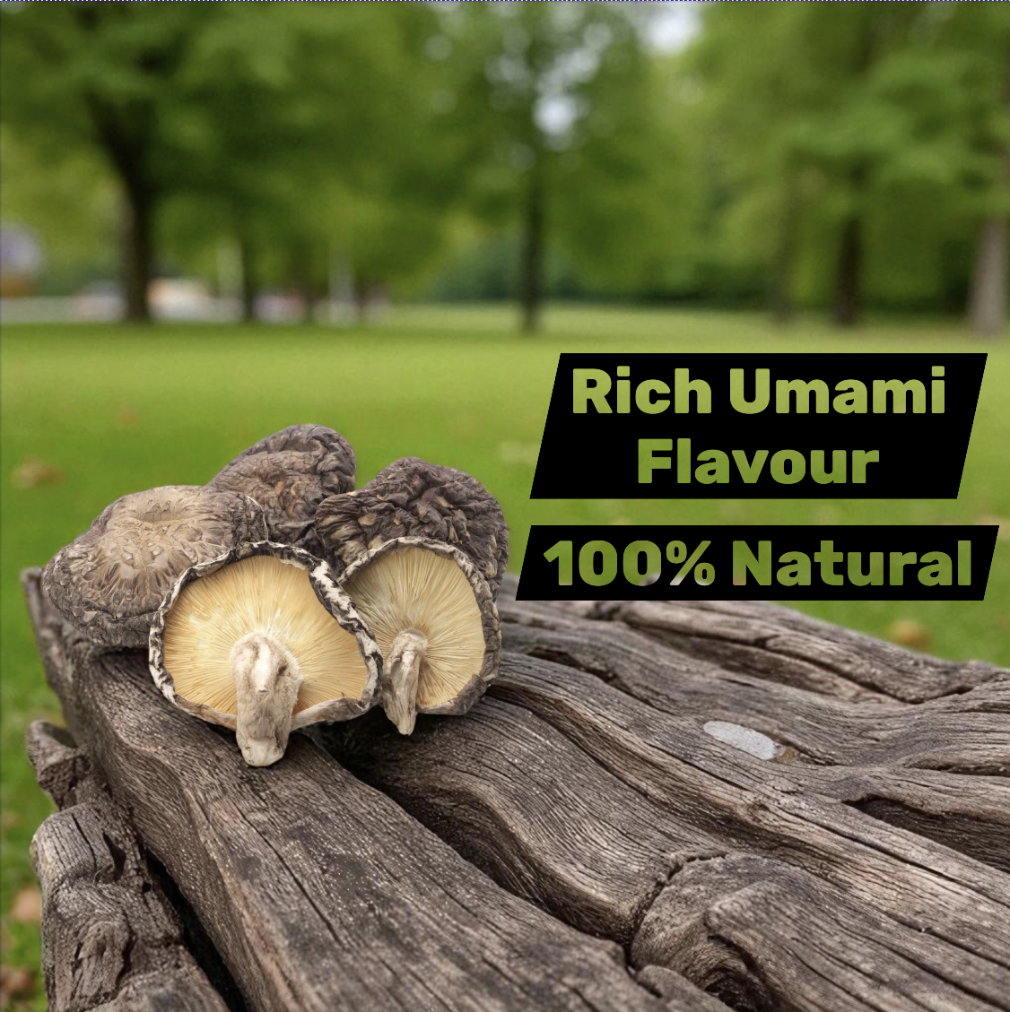 Okinawa Extra Large Dried Shiitake Mushrooms