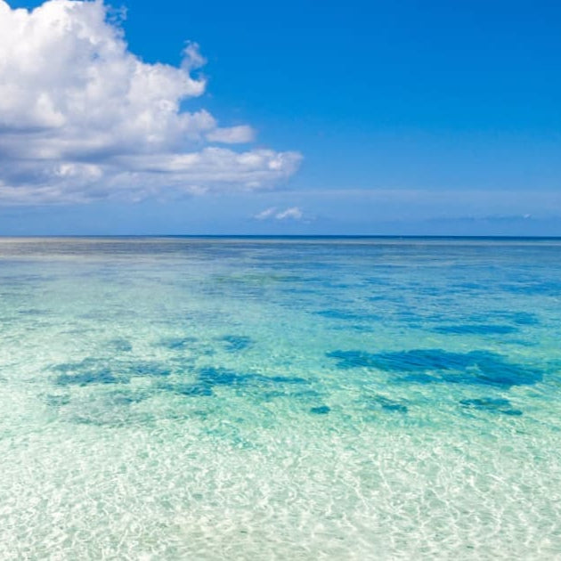 Mineral “Oil” Sea water