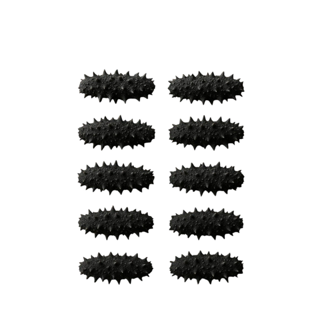 Hokkaido Dried Black Diamond Sea Cucumber – Grade A (Size M)